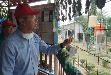   Chairman APRIL, Bey Soo Khiang memeriksa hasil karya siswa SD Global Andalan Estate Pelalawan saat meresmikan Pelalawan Science Park.