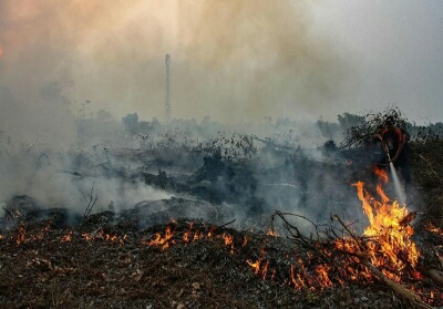 Ilustrasi lahan terbakar.