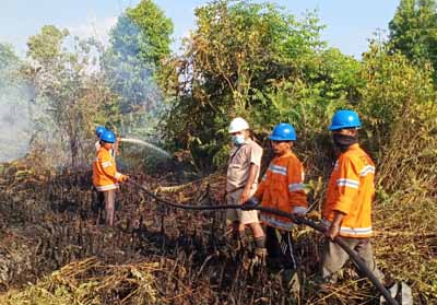 Satgas PT Inti Indosawit melakukan pemadaman di Desa Sering Kecamatan Pelalawan. 