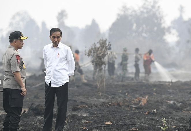 Jokowi saat di Riau pantau Karhutla.