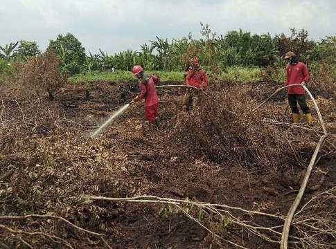 Pemadaman Karhutla Riau