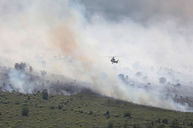Sebuah helikopter Super Puma AS332L1 milik APP Sinar Mas Forestry bersiap melakukan pengeboman air (water bombing) terhadap hutan dan lahan perkebunan sawit rakyat yang terbakar di Desa Gurun Panjang di Dumai, Dumai, Riau, Senin (25/2/2019). 