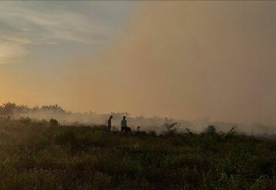 Sejumlah warga memadamkan api karhutla di Desa Teluk Bano II, Kecamatan Pekaitan, Kabupaten Rohil, Riau, Kamis (4/7/2019). 