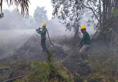 RPK PT SPA berjibaku padamkan api di hutan desa yang berbatasan antara Desa Serapung Kecamatan Kuala Kampar dan Desa Pulau Muda Kecamatan Teluk Meranti Kabupaten Pelalawan.