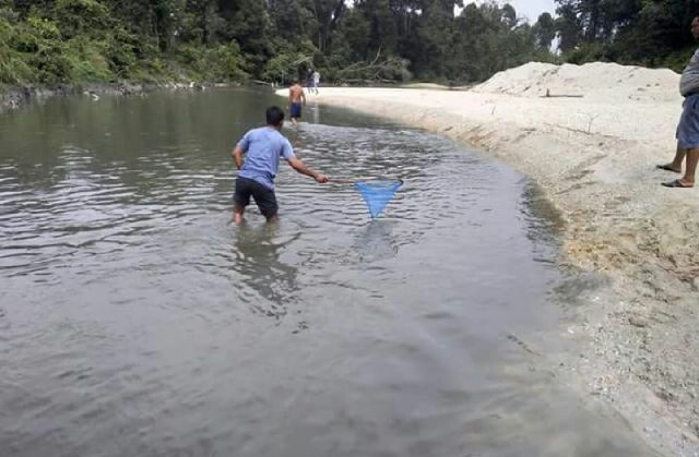 Warga terlihat menggunakan tangguk mengambil ikan mati di sungai Bawang yang diduga tercemar limbah pabrik.