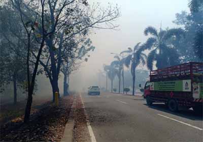 Kabut asap selimuti Jalan Soekarno Hatta akibat kebakaran lahan konsesi PT CPI baru-baru ini