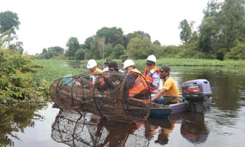 Team Speectra BRIN dan PT Arara Abadi-APP melakukan survey untuk penentuan titik program di Perairan Sungai Mandau.(foto: istimewa)