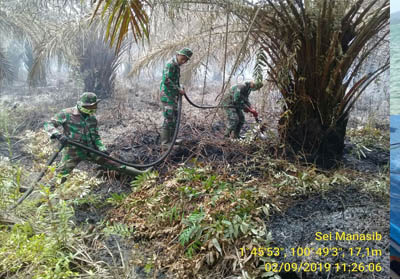 Persenel Koramil 05 Rimba Melintang, Kodim 0321/Rohil lakukan pemadaman di lahan terbakar.