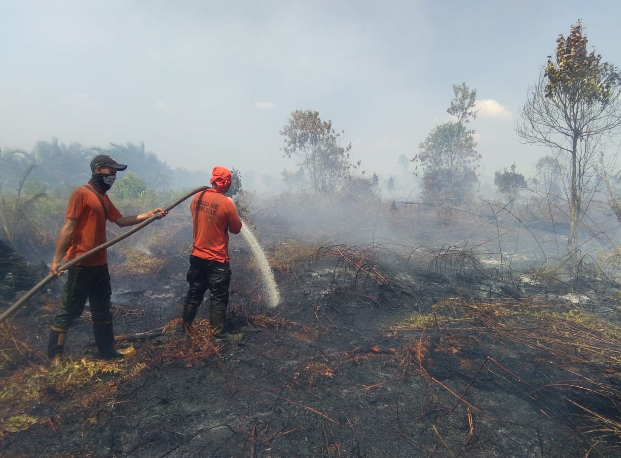 Para personel Manggala Agni sedang berjibaku memadamkan api dibawah tebalnya gambut