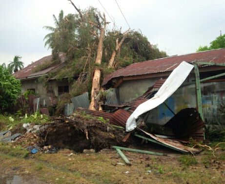 Rumah di Jalan Teratai Kelurahan Dumai Kota tertimpa pohon akibat angin puting beliung.