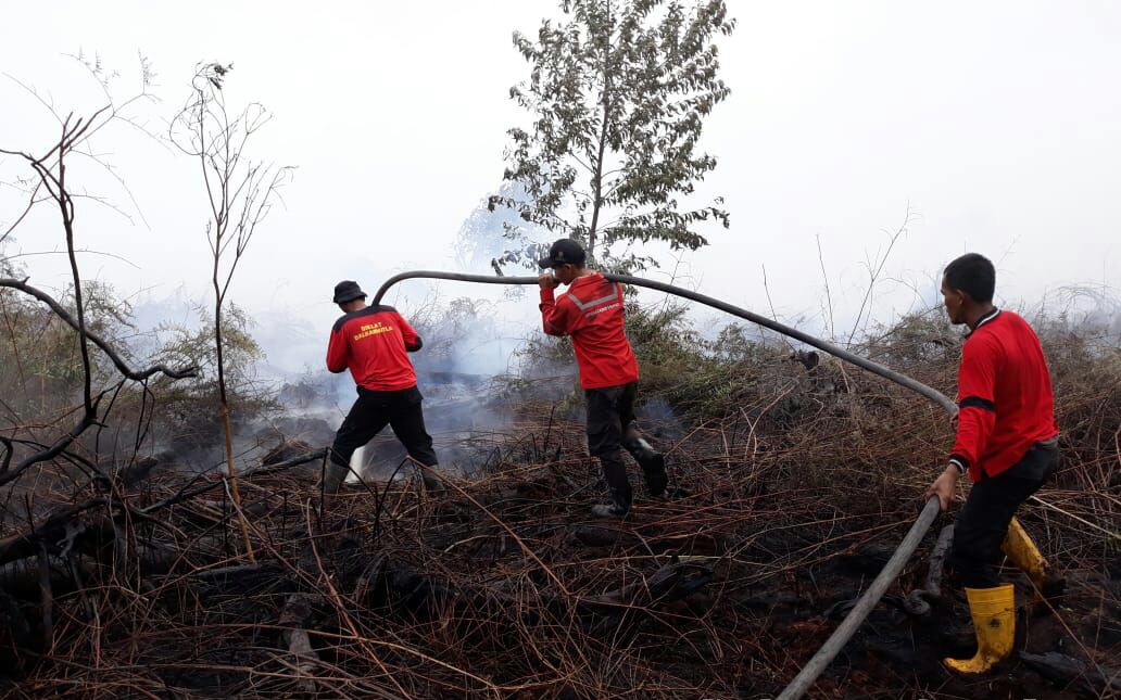 Tim pemadam kebakaran PT Sumatera Riang Lestari melakukan pemadaman kebakaran di Dusun Bahagia, Desa Pekan Tua, Kabupaten Indragiri Hilir, Kamis (27/9).