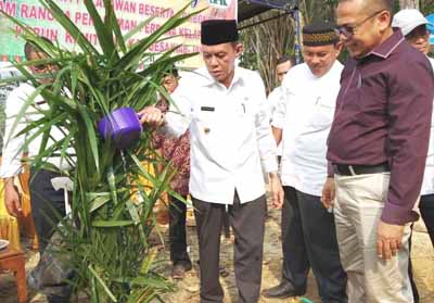 Wakil Bupati Pelalawan H Zardewan menghadiri penanaman perdana kelapa sawit di Desa Kiyap Jaya
