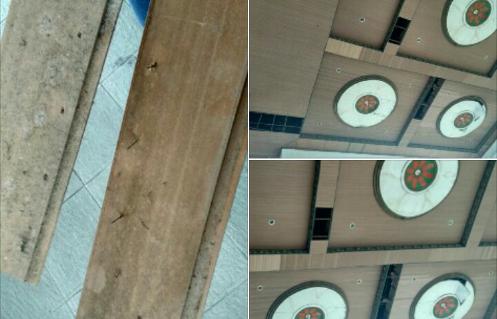 Kondisi plafon gedung DPRD Siak yang bolong. Tampak papan berpaku bagian dari plafon yang jatuh  hampir mengenai salah satu wartawan.