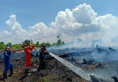 Tim Pemadam Kebakaran PT CPI bersama TNI padamkan kebakaran di lahan dekat Sungai Dumai.