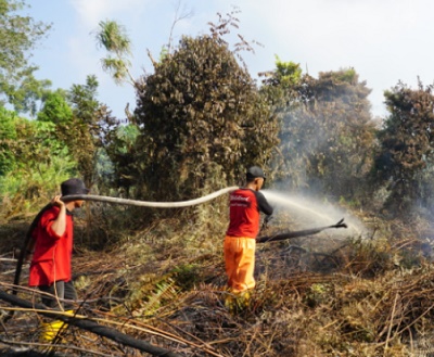 FERT RAPP berjibaku memadamkan kebakaran di lahan seluas 100 hektar di Kecamatan Rupat, Kabupaten Bengkalis.