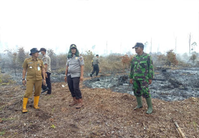 Kebakaran lahan yang terjadi di Kabupaten Siak, Selasa (20/2/2018) lalu ludeskan  5 Hektare lahan gambut.