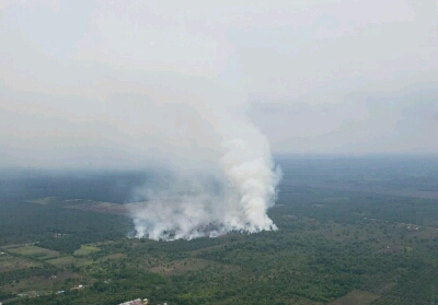 Pantauann udara kebakaran lahan di Kelurahan Teluk Makmur Kecamatan Medang Kampai Kota Dumai Selasa (9/4). 
