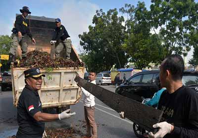 Sejumlah pegawai di lingkungan Pemprov Riau gotong royong dalam Jumat Bersih. Foto: Antara