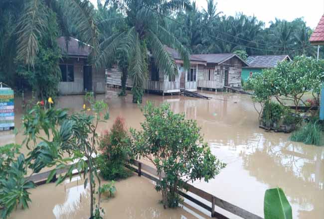 Kondisi banjir yang melanda Kecamatan Bonai Darussalam 