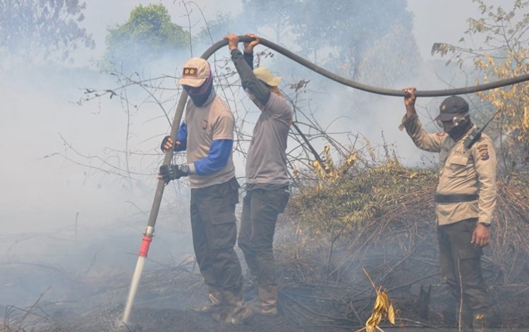 Sejumlah personel polisi dari jajaran Polres Pelalawan membantu pemadaman kebakaran lahan gambut di Desa Merbau Kecamatan Bunut, Kabupaten Pelalawan, Riau, Jumat (23/8/2019). FOTO: ANTARA