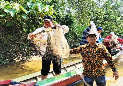 Bupati Sukiman, mengawali menebar jala saat hadiri pembukaan tradisi Rantau Larangan Sei Pusu di Dusun III Kampung Tinggi, Desa Rokan Koto Ruang, Kecamatan Rokan IV Koto.