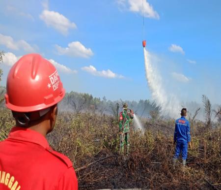 Ilustrasi petugas melakukan pemadaman Karhutla di Riau (foto/int)