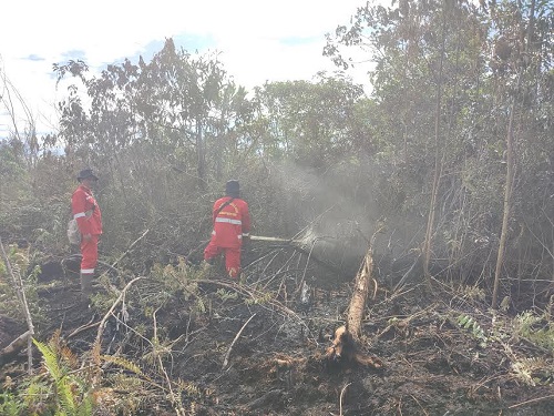 Satgas Karhutla Kota Dumai memadamkan kebakaran lahan di  Kelurahaan Bagan Keladi, Kecamatan Dumai Barat.