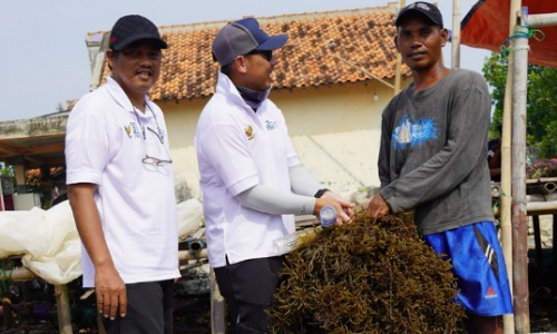 Executive Vice Presiden PT KBI, Andi Patriota Wibisono dan Corporate Secretary PT KBI, Dihan Yusro bersama petani rumput laut.(foto: istimewa)