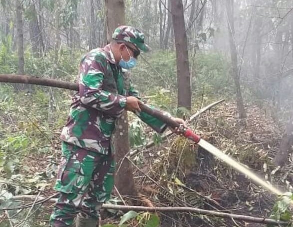 Komandan Kodim 0313/Kampar Letkol Inf Aidil Amin S Ip M I pol padamkan api di Desa Sering, Kecamatan Pelalawan. 