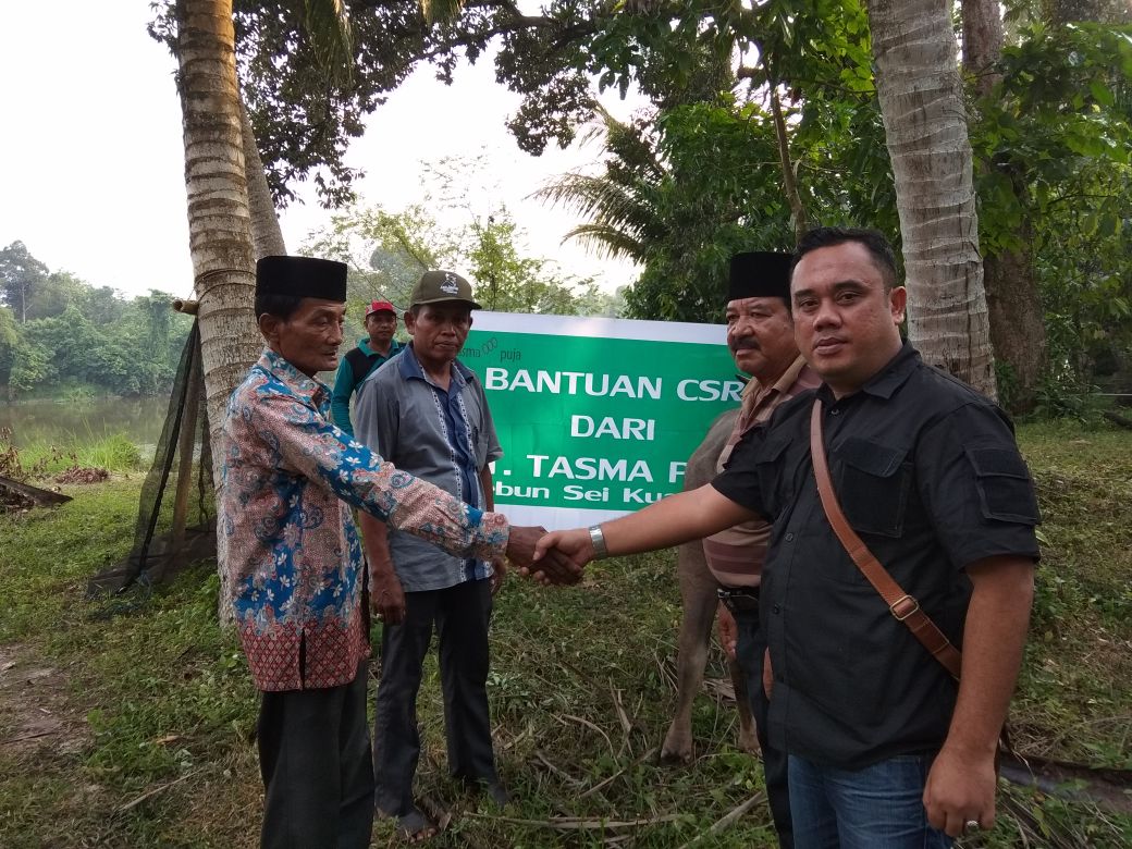Penyerahan bantuan satu ekor kerbau dari PT Tasma Puja untuk kegiatan penobatan adat di Kecamatan Kampa, Kabupaten Kampar