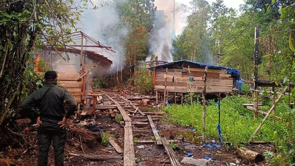 BKSDA Riau bakar gubuk pelaku illegal logging. FOTO: Istimewa