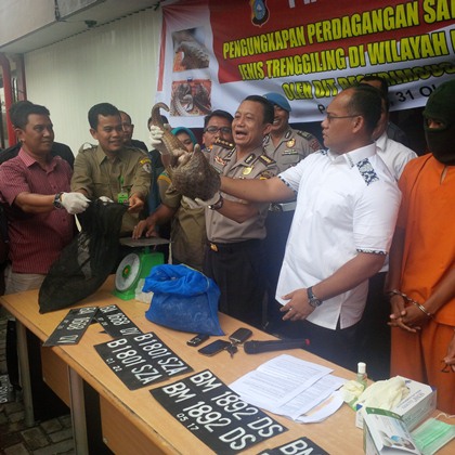 Polda Riau ekpos penangkapan pelaku penyeludupan Trenggiling