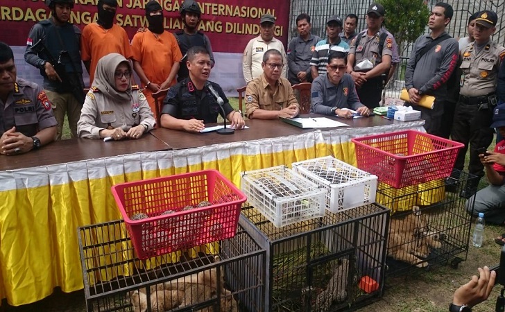 Bayi Leopard dan hewan lain yang diamankan Polda Riau dari sindikat perdagangan hewan internasional.