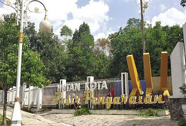 Hutan Kota Pasir Pangaraian seluas 7,3 hektar 