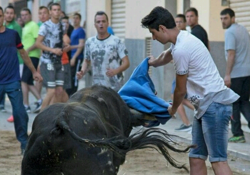 Fran Gonzalez, remaja berusia 19 tahun, ketika menangani banteng dalam sebuah festival. 