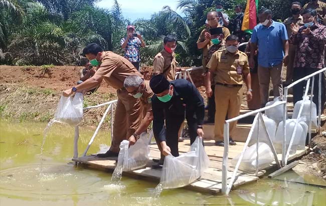 Sekda Rohul Abdul Haris bersama tokoh masyarakat dan pemuda, taburkan 10 ribu ekor benih ikan mas bantuan Pemkab Rohul, ke objek wisata baru cekdam Desa RTU