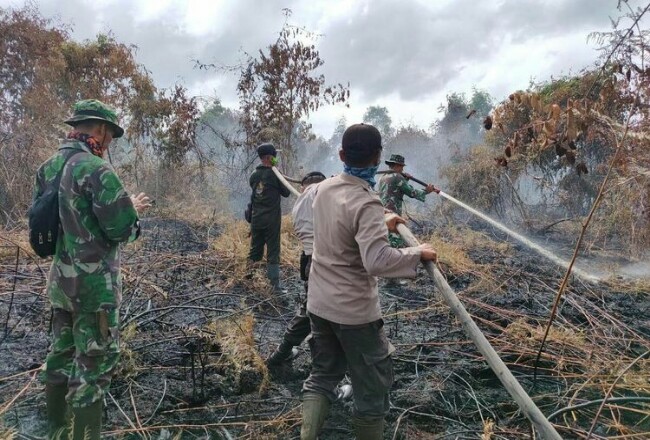 Tim Satgas Karhutla melakukan pemadaman titik api yang terdapat disejumlah wilayah di Riau. Foto: Kompas