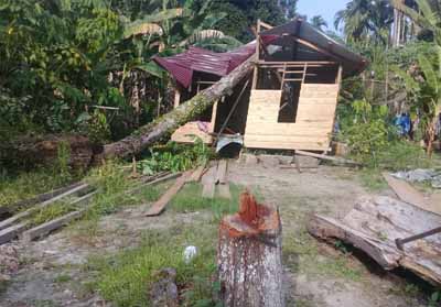 Rumah di Desa Dedap Kecamatan Tasik Putripuyu roboh ditimpa Pohon Durian 
