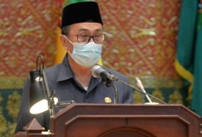 Gubernur Riau Syamsuar.