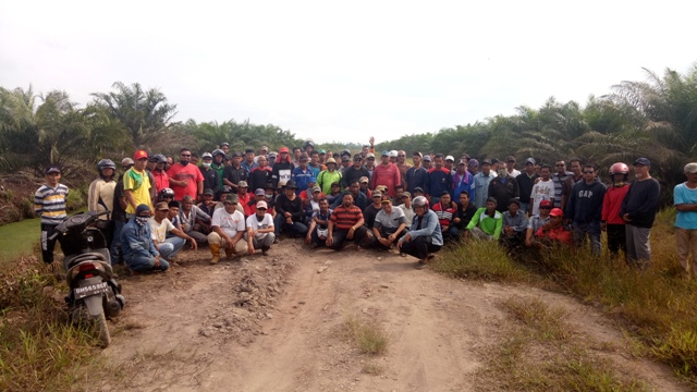 Ratusan peserta pemilik lahan dan pengurus Koperasi BBDM melakukan kunjungan ke areal perkebunan PT. SDA Sungai Pakning