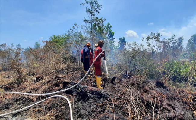  Tim Satgas Karhutla padamkan kebakaran lahan di Kelurahan Teluk Makmur Kota Dumai.