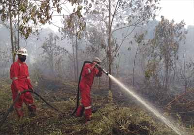 Kebakaran hutan dan lahan di Riau.