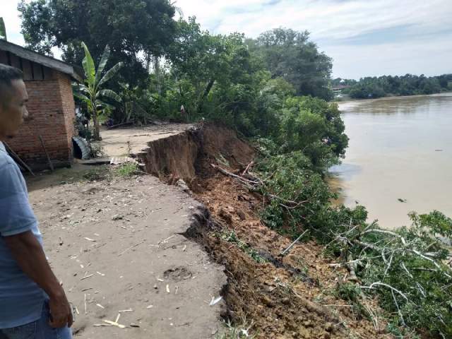  Kondisi tebing kritis di DAS Indragiri atau tepi sungai kuantan di desa Kampung Baru Timur Kecamatan Cerenti.