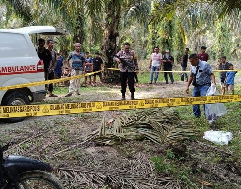 Polisi melakukan olah TKP pembunuhan Fahru Rozi (Dok. Humas Polres Rohul).