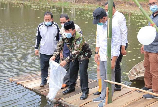 Bupati Sukiman taburkan 10 ribu ekor benih ikan nila dan mas di Danau Conga saat peresmian danau untuk kawasan wisata.
