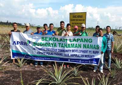  Para petani berfoto bersama setelah mengikuti Pelatihan Lapangan Pertanian dan Budidaya Nanas yang diselenggarakan oleh Community Development (CD) PT Riau Andalan Pulp and Paper (RAPP).
