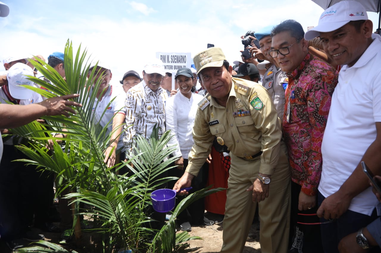 Mentri BUMN Rini Soemarno, Gubri dan Bupati Rohul H Sukiman, lakukan tanam perdana kelapa sawit, dalam program BUMN untuk Sawit Rakyat di Negeri Seribu Suluk