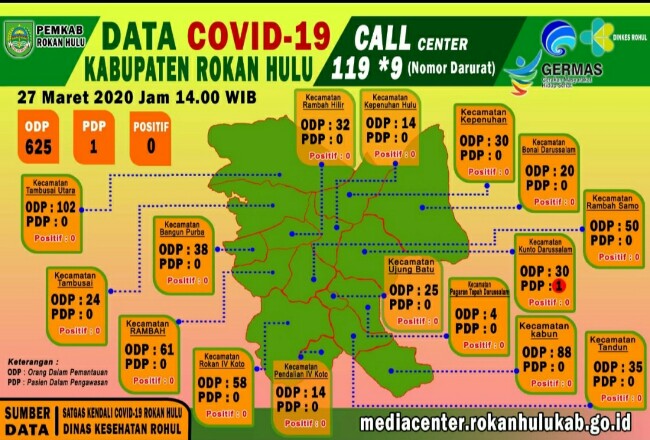 Data grafis penyebaran Covid-19 di Rokan Hulu.