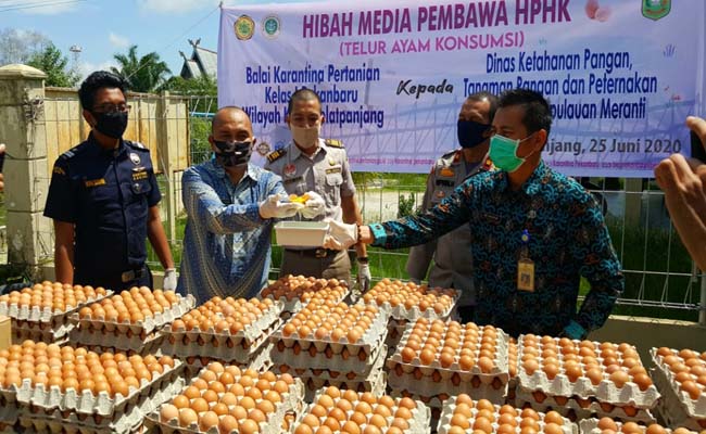 Hibah 7.100 butir telur kepada Pemerintah Kabupaten Kepulauan Meranti, Kamis (25/6/2020) pagi.