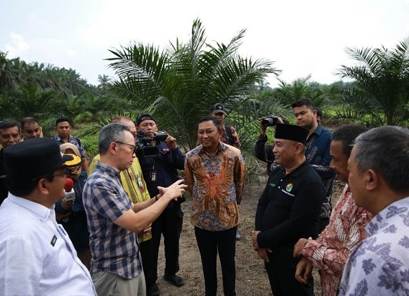 Ketua Dewan Komisioner OJK Mahendra Siregar saat bertemu dengan para petani perkebunan kelapa sawit di Kabupaten Kampar, Riau Jumat (17/3). 